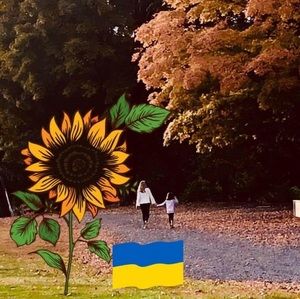 Meet your Posher, Ann